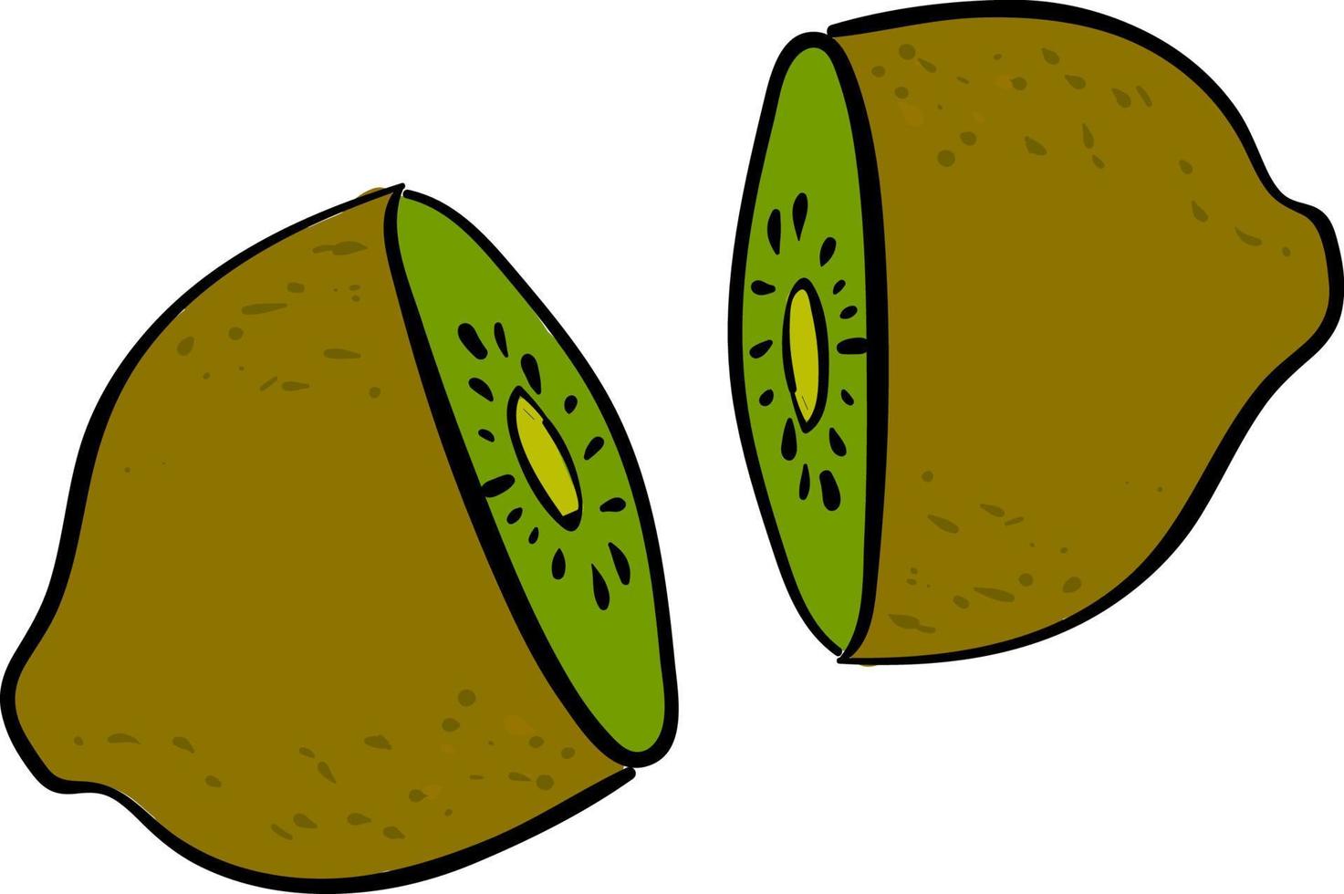 Kiwi cut in half, illustration, vector on white background.