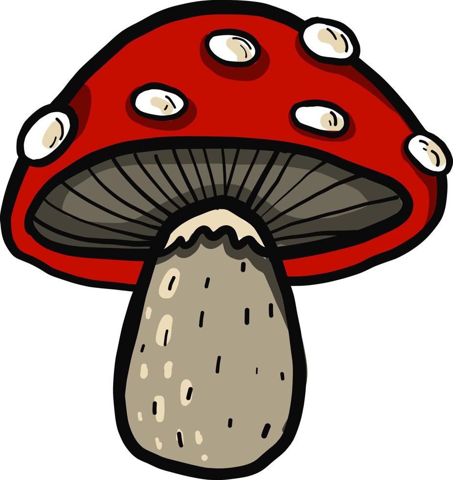 Red mushroom , illustration, vector on white background