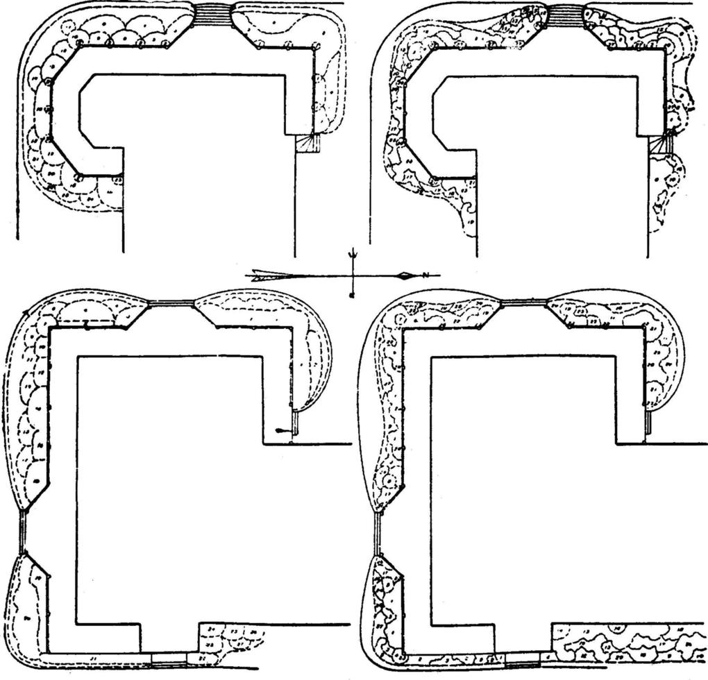 plan de plantación de fronteras para una casa, ilustración antigua. vector
