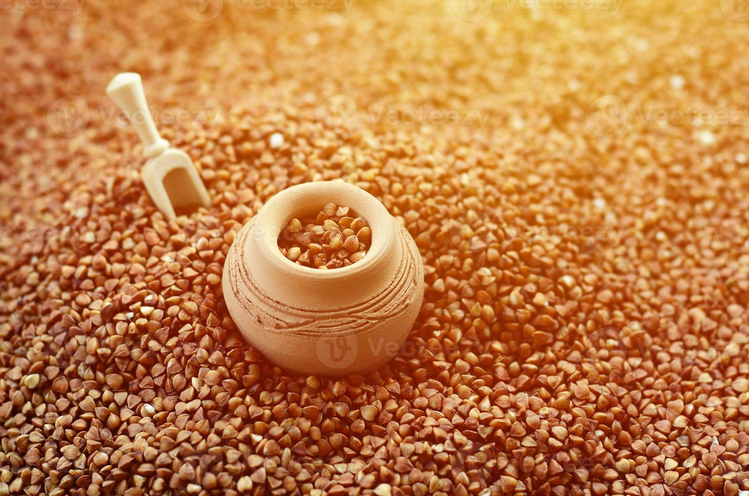 Background image of a large pile of buckwheat, in the middle of which lies a small jug and a wooden spatula for cereals photo