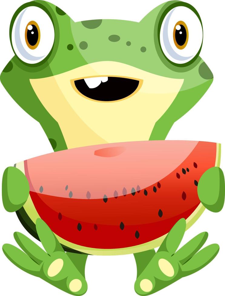 Cute baby frog holding a watermelon, illustration, vector on white background.