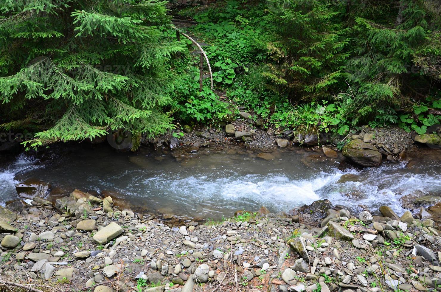 Close-up image of a small river in a mountainous area photo