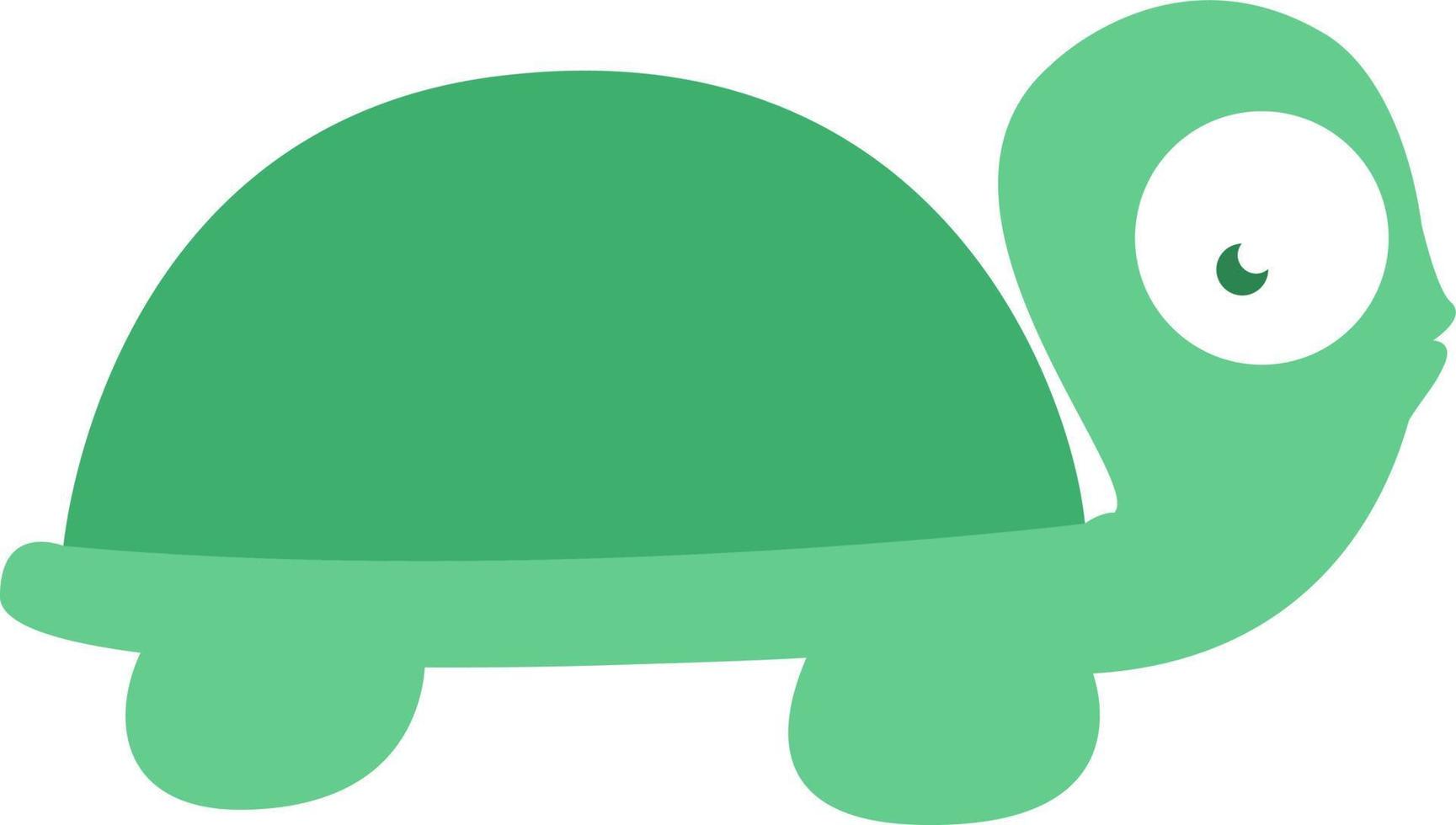 Old sea turtle, illustration, on a white background. vector