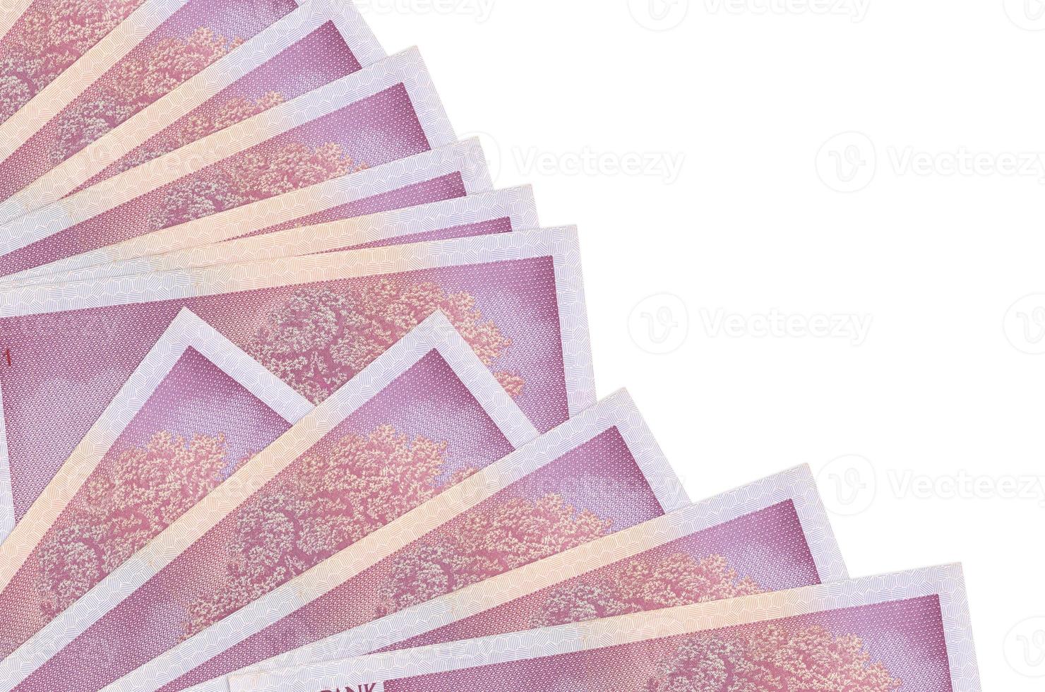 10 Estonian kroon bills lies isolated on white background with copy space stacked in fan close up photo