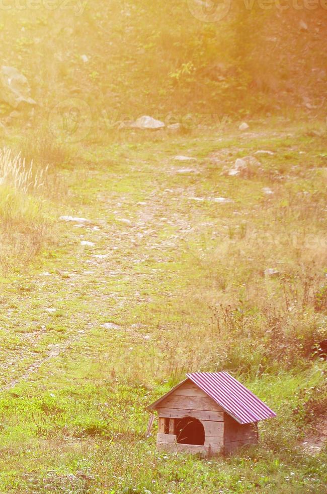 A small doghouse in the open air on a grass field photo