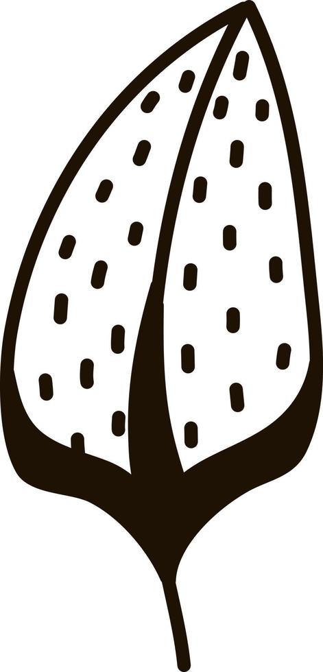 Duck feather, illustration, vector on a white background