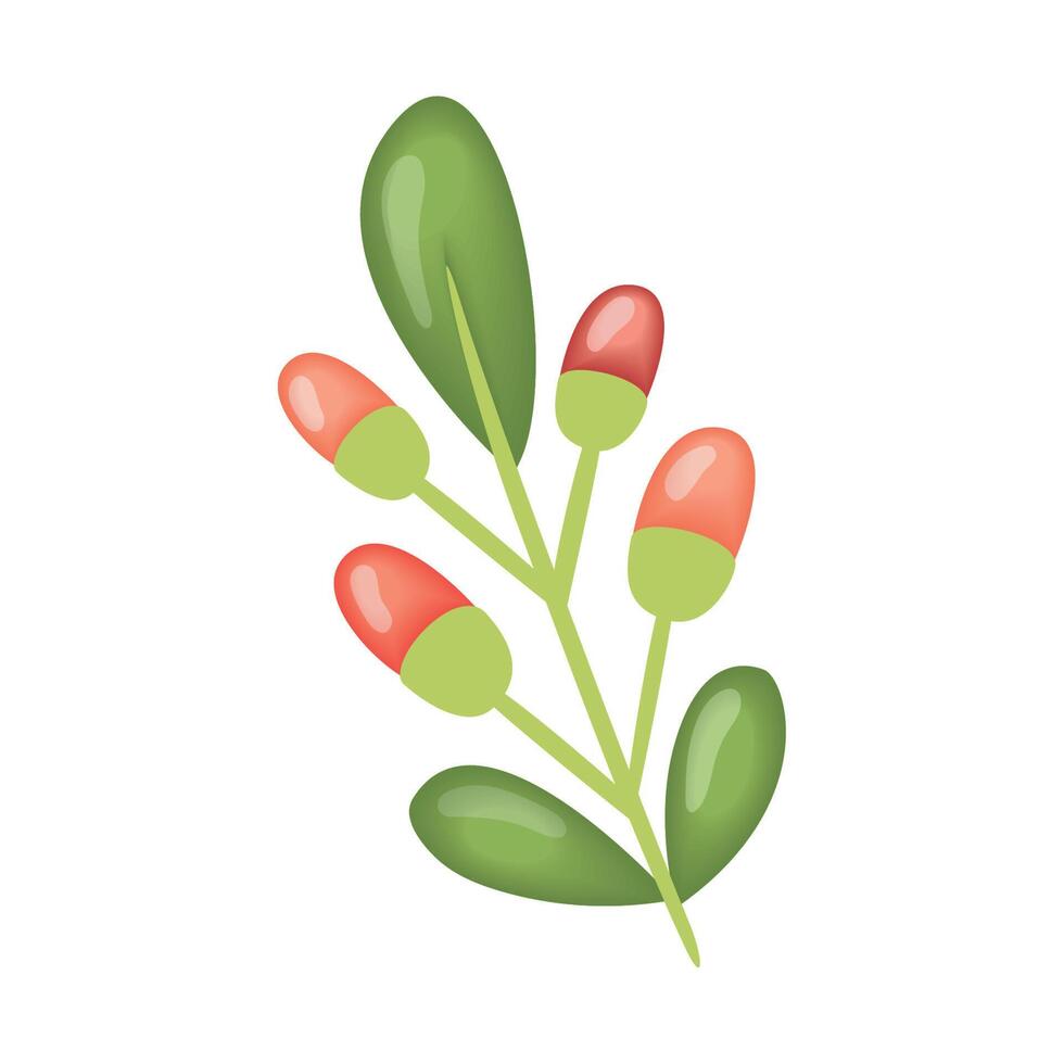 branch with leafs and seeds vector