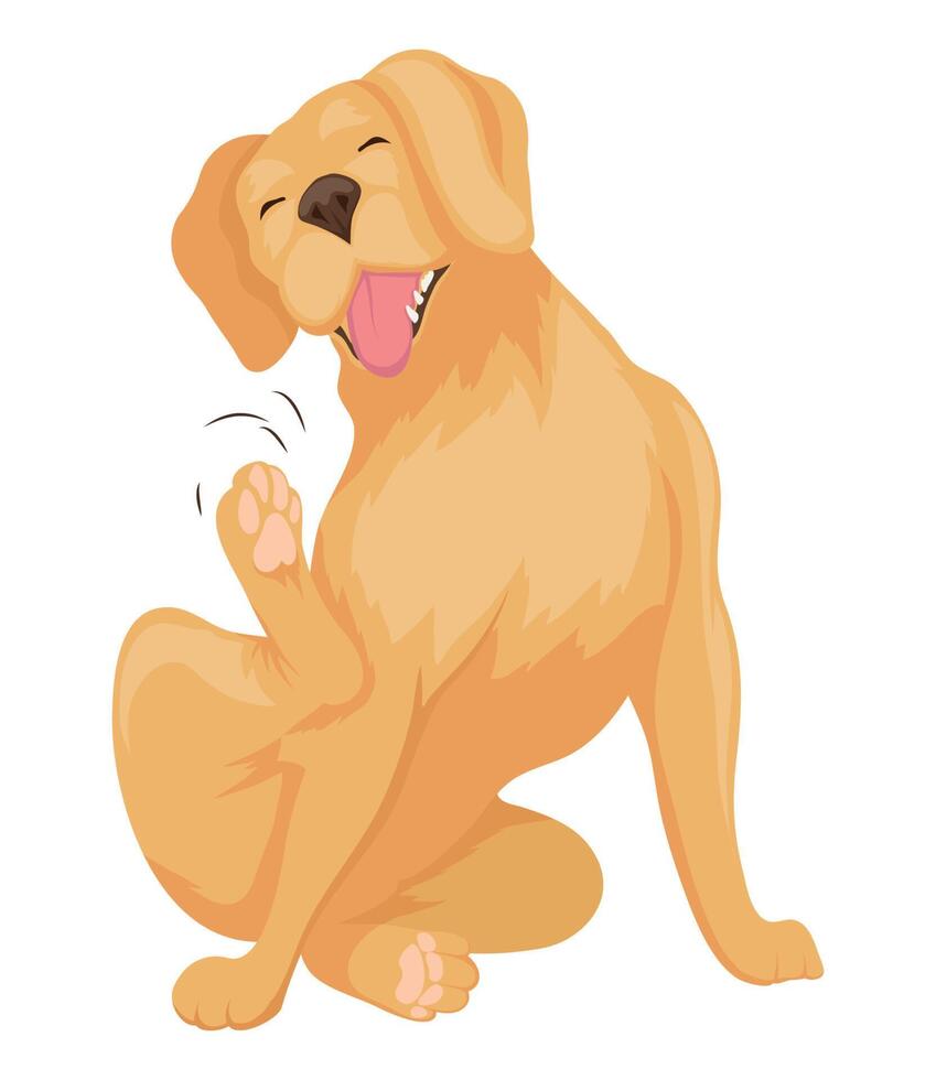 lindo perro golden retriever vector