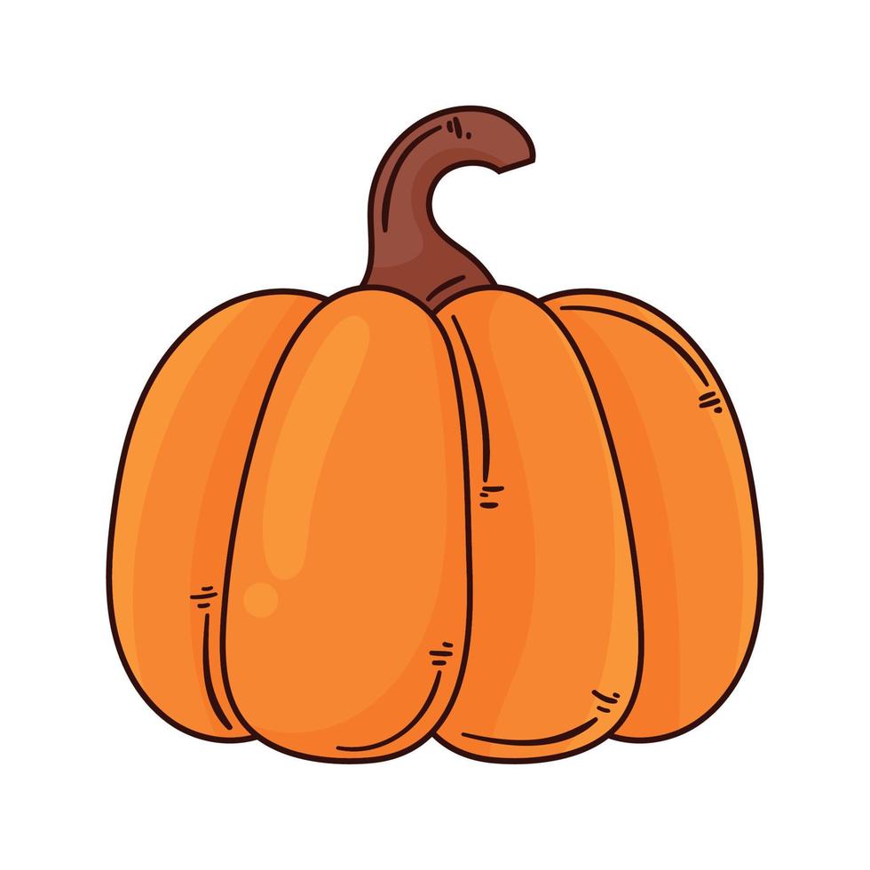 pumpkin vegetable autumn season vector