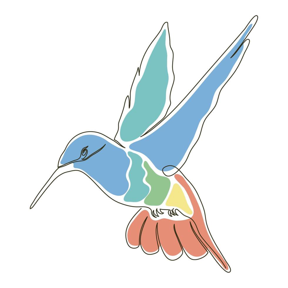 color de colibrí salvaje dibujado vector