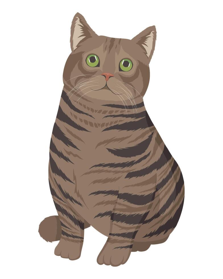 lindo gatito vector