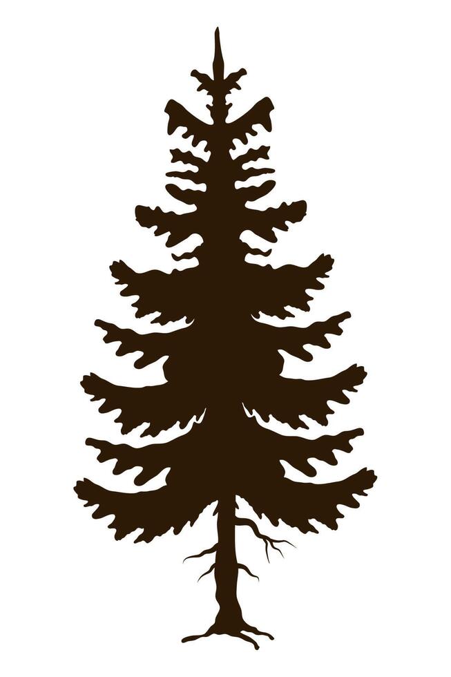 tree plant coniferus silhouette vector