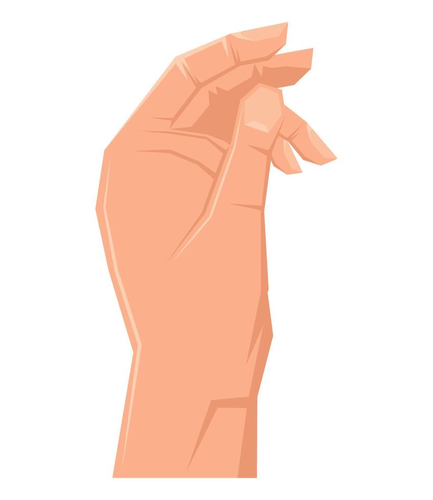 hand human holding up vector