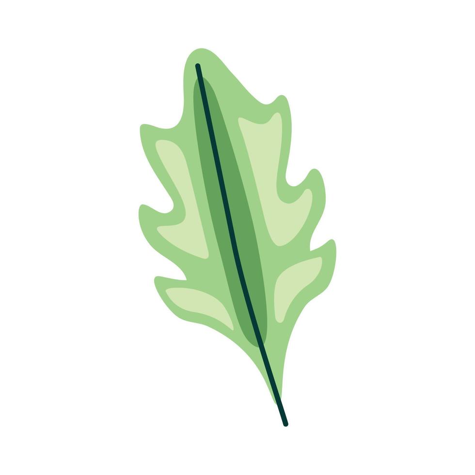 leaf plant foliage vector