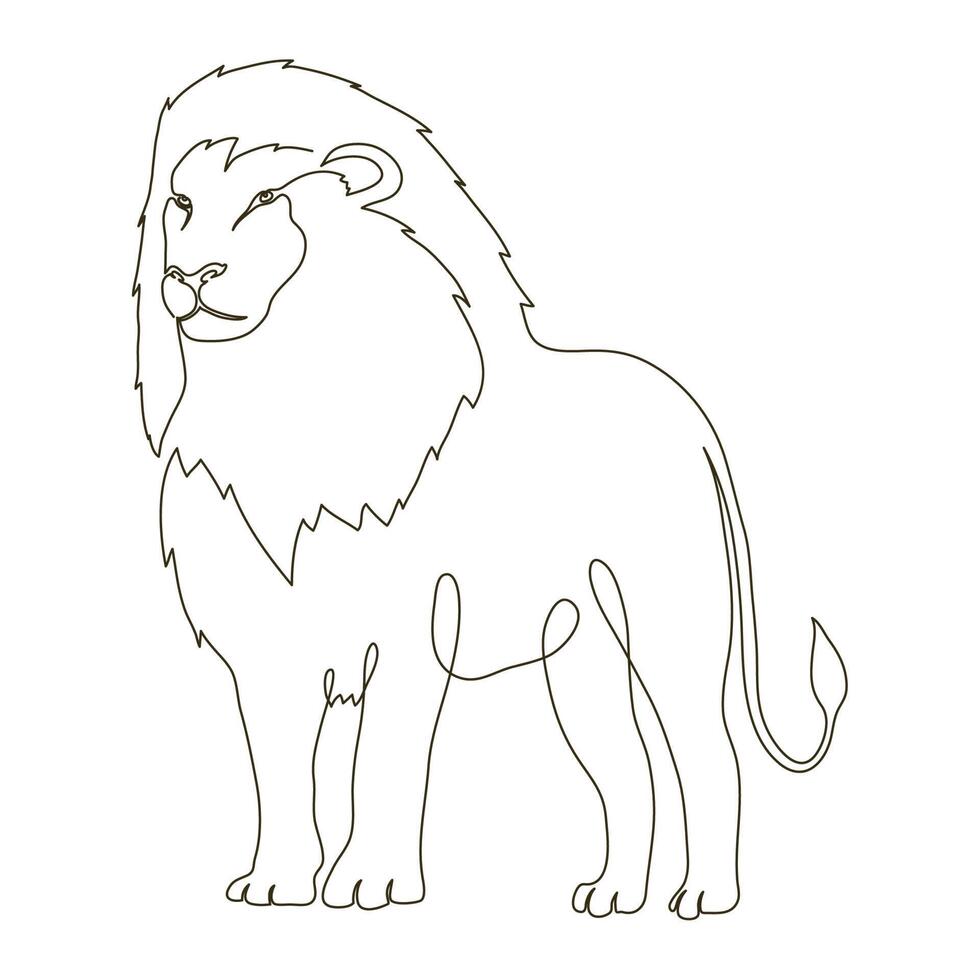 wild lion line drawn vector