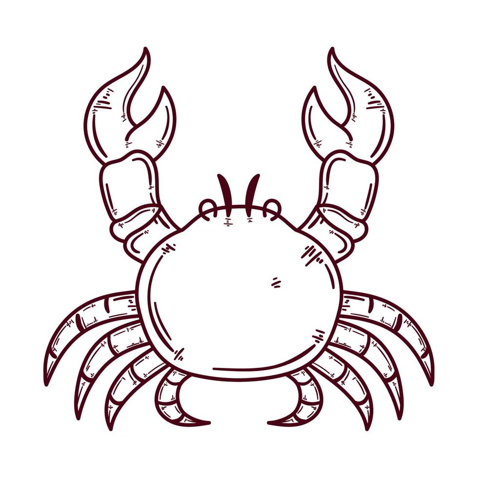 signo del zodiaco cáncer vector