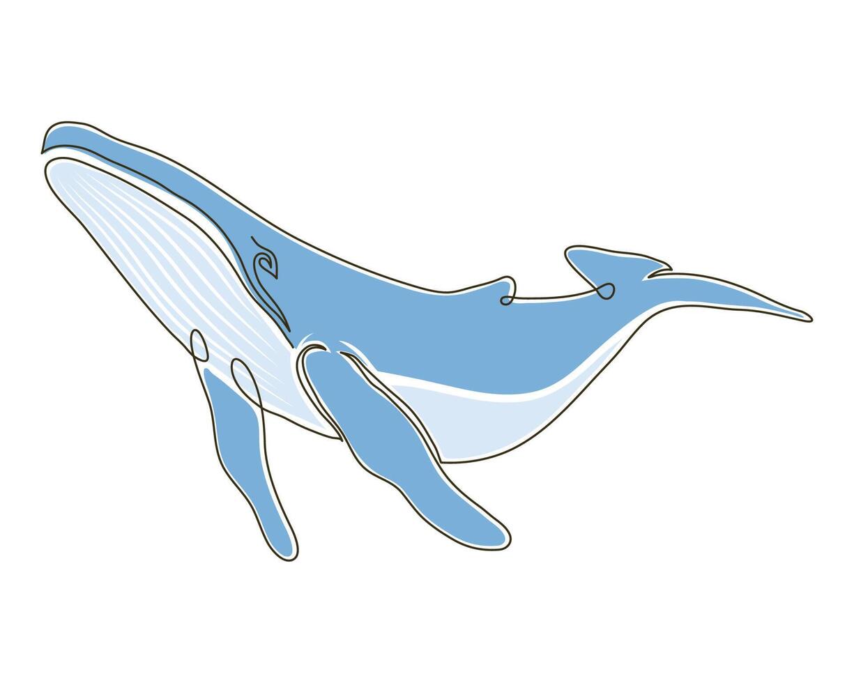 ballena salvaje dibujada a color vector