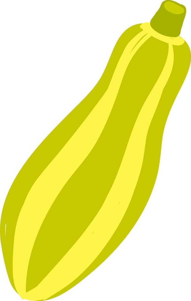 Flat zucchini, illustration, vector on white background.