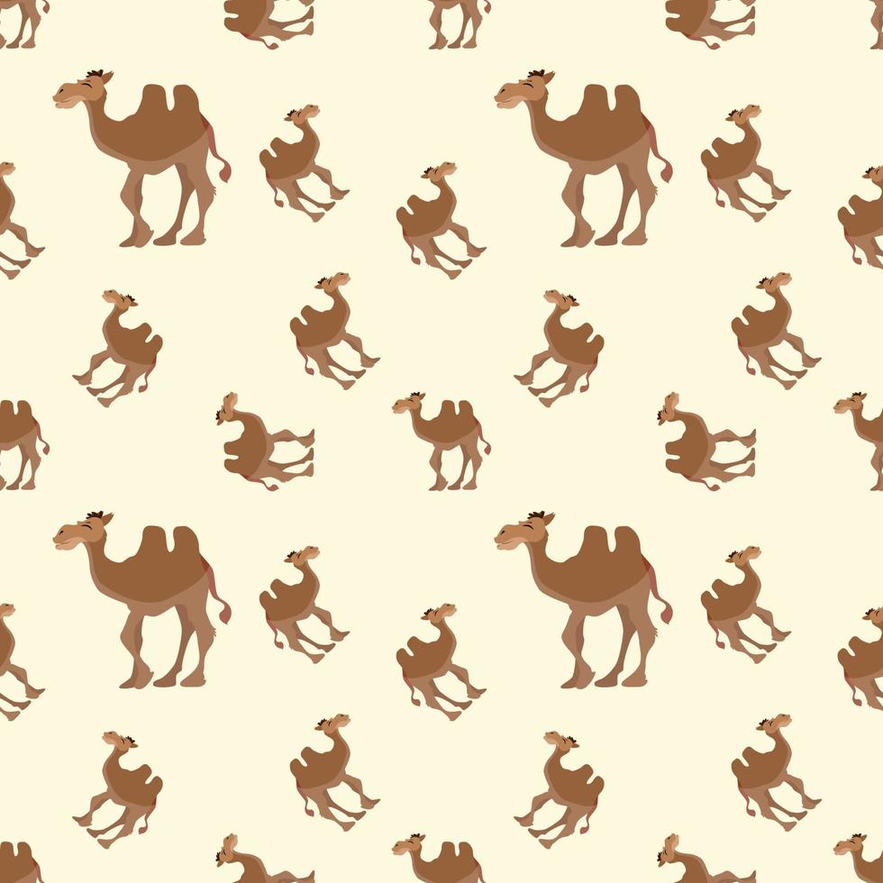 Camels pattern, illustration, vector on white background