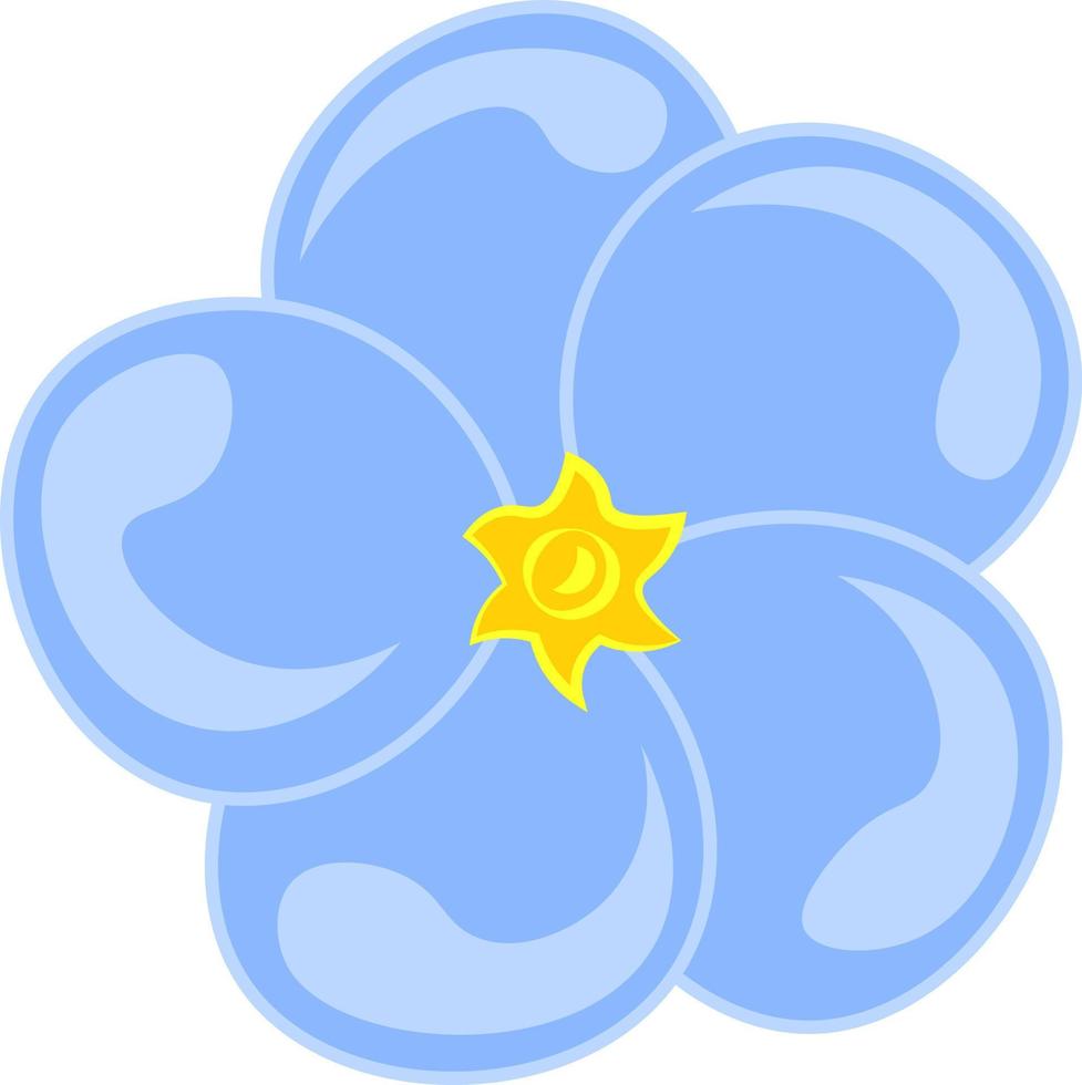 A forget me not flower, vector or color illustration.