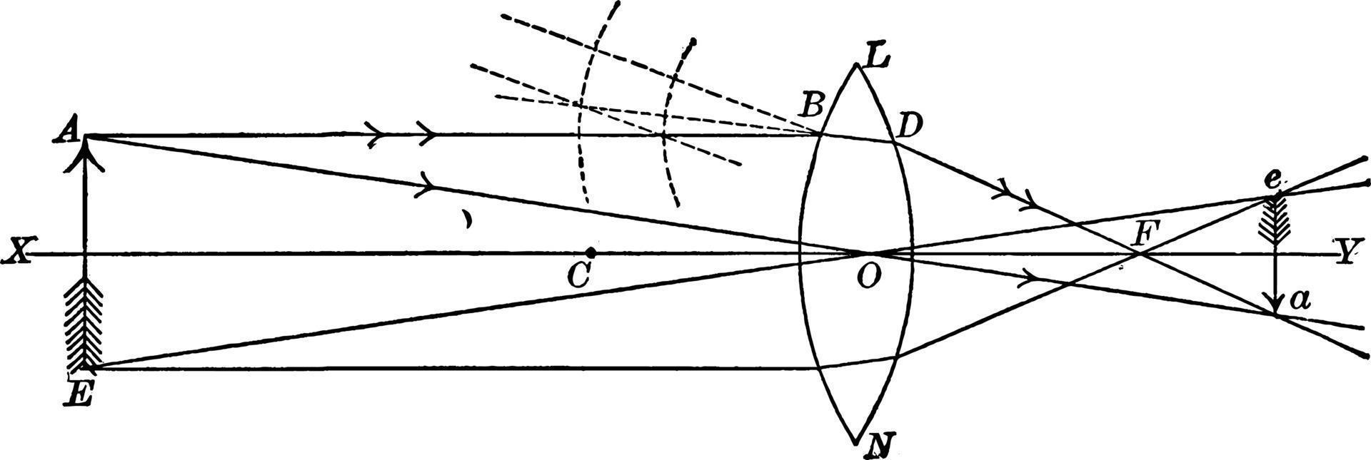 Object Refracted through Biconvex Lens, vintage illustration. vector