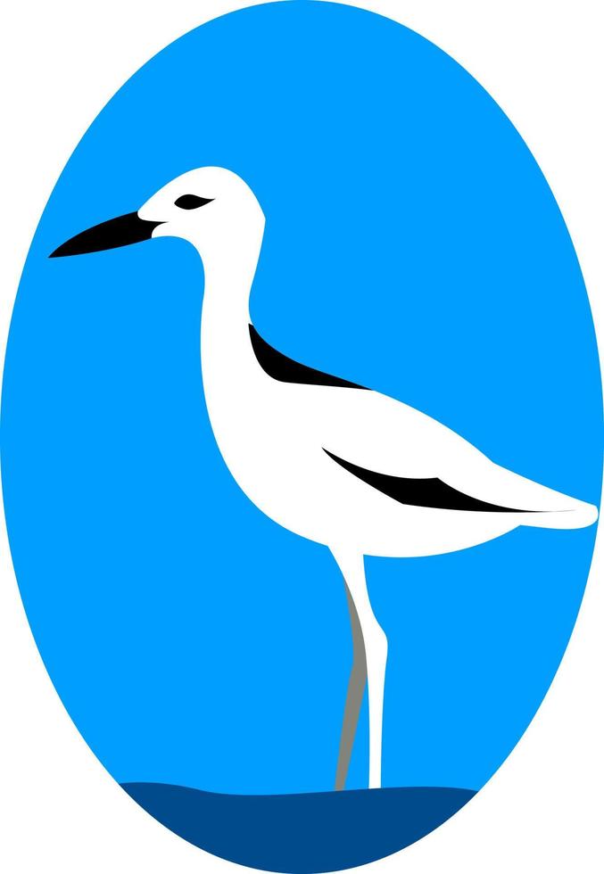 Crab plover, illustration, vector on white background.