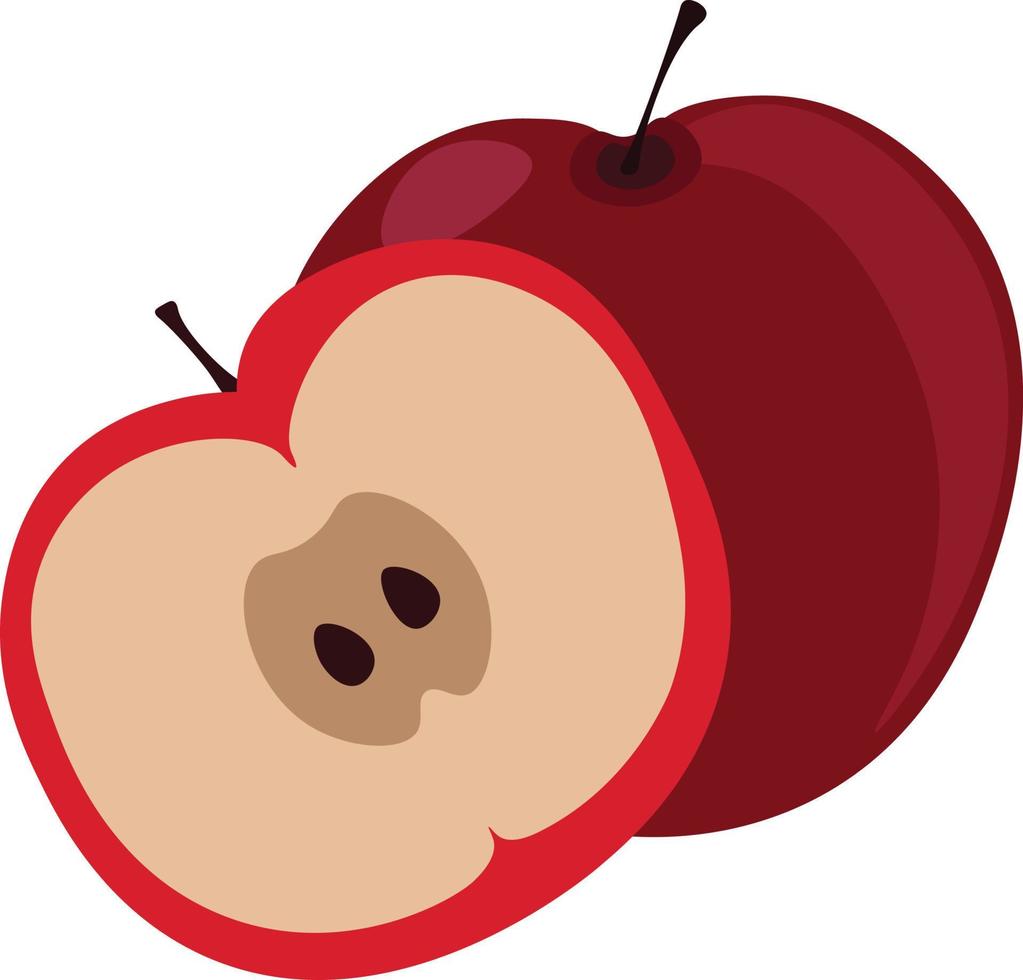 Manzana cortada por la mitad, ilustración, vector sobre fondo blanco.