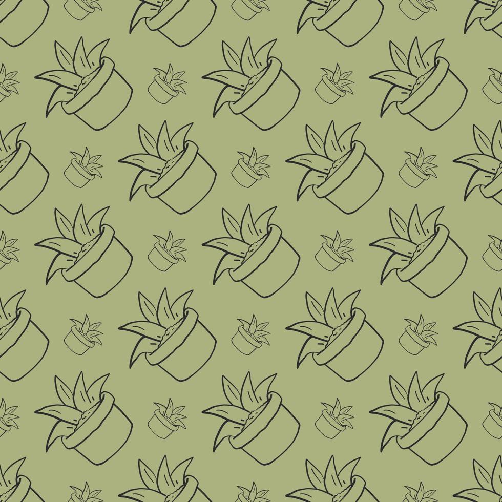 Aloe pattern , illustration, vector on white background