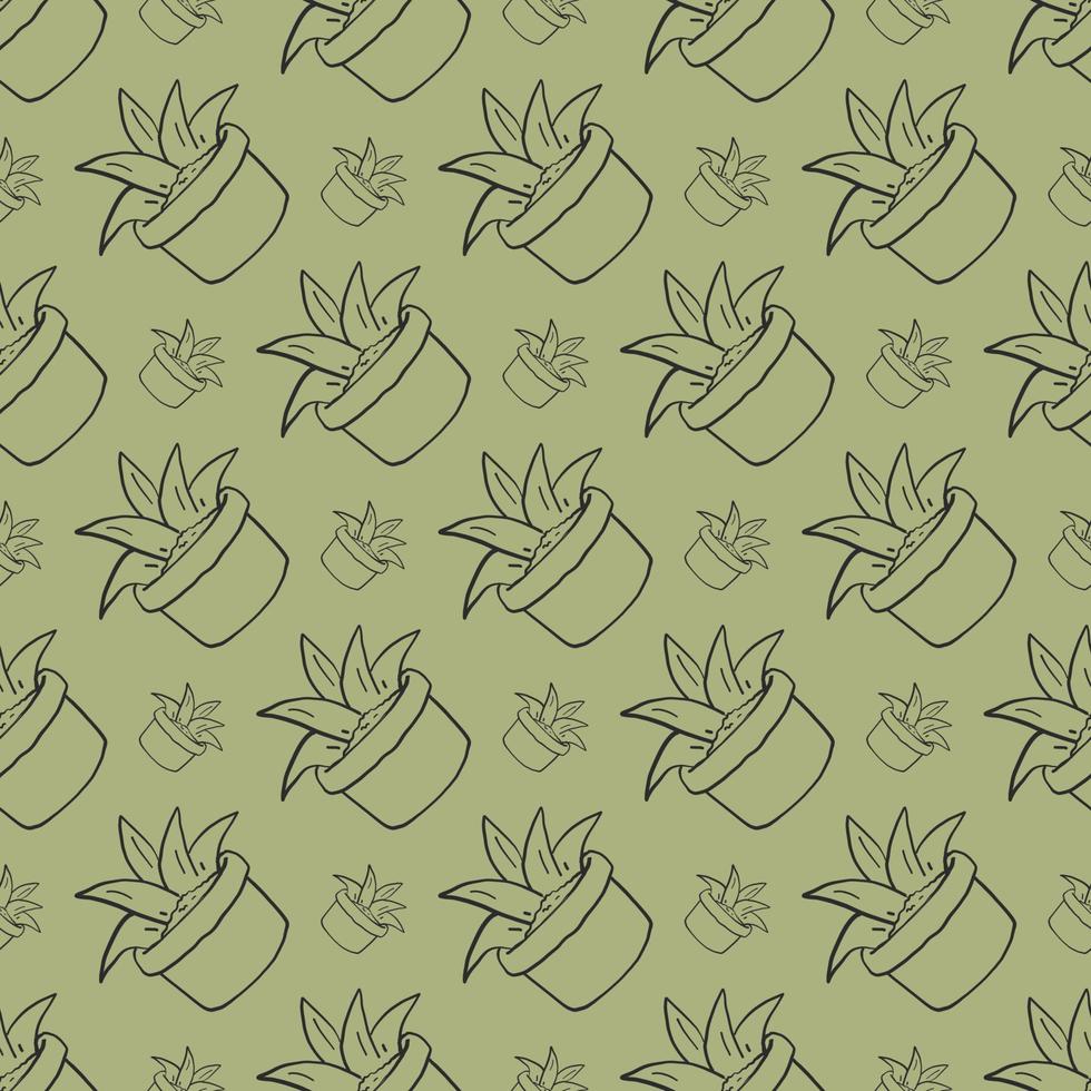 Aloe pattern , illustration, vector on white background