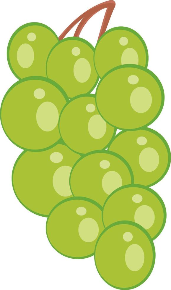 uvas verdes, ilustración, vector sobre fondo blanco