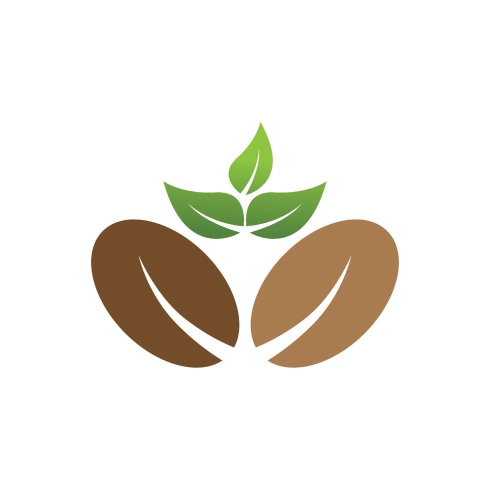 coffee bean icon vector illustration