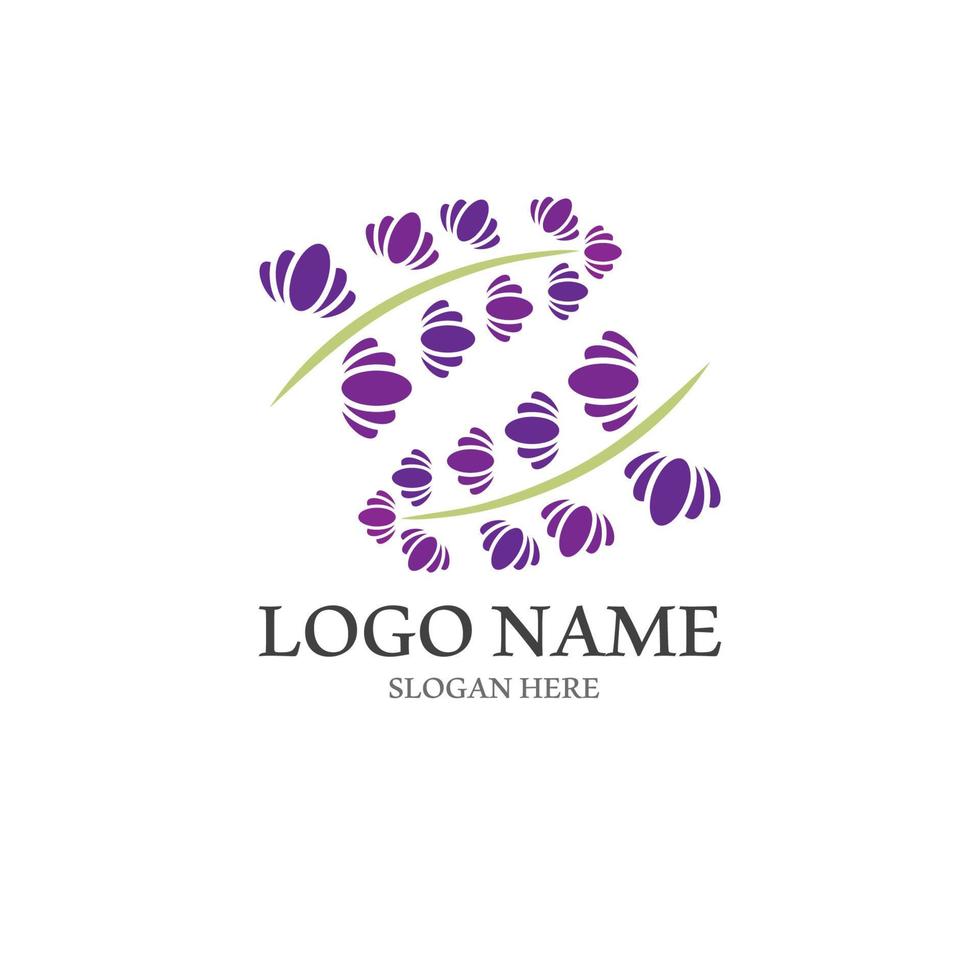 vector de logotipo de flor de lavanda fresca