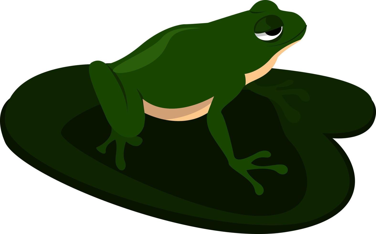 Green frog on lotus, illustration, vector on white background