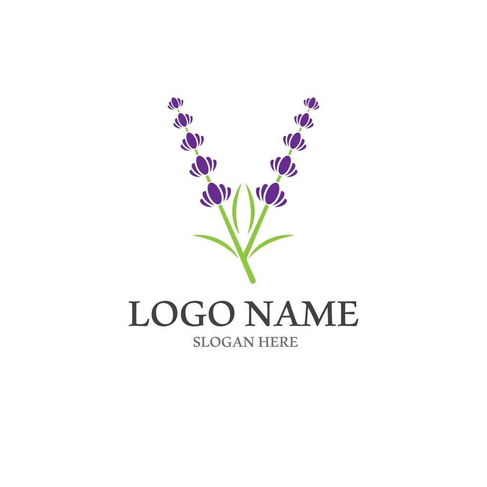 Fresh Lavender flower logo vector