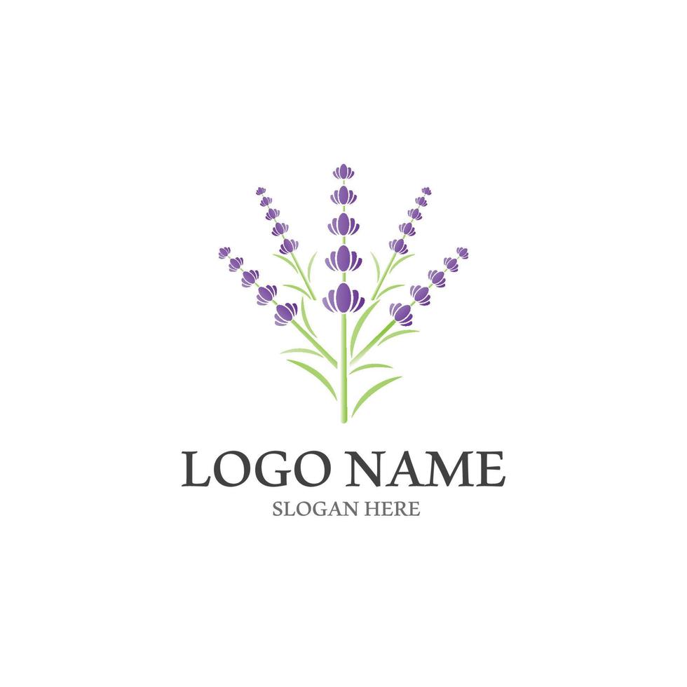 Fresh Lavender flower logo vector 13916074 Vector Art at Vecteezy