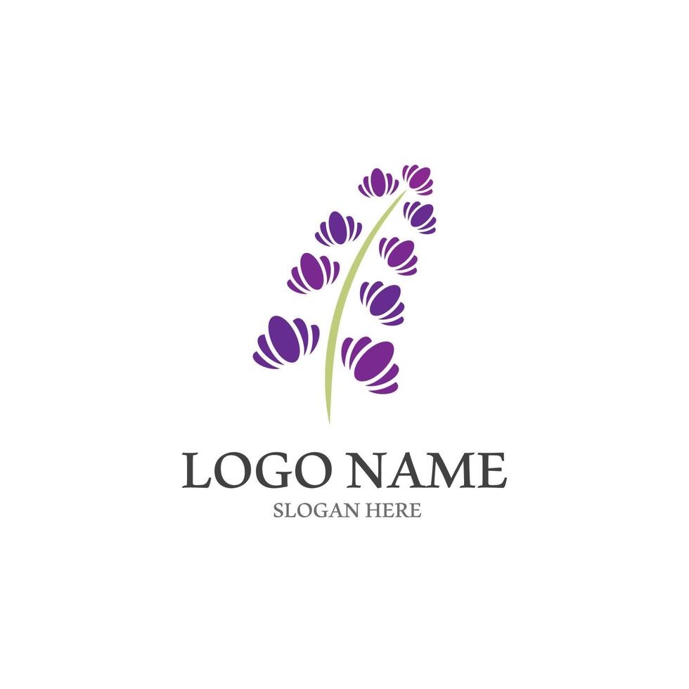 Fresh Lavender flower logo vector