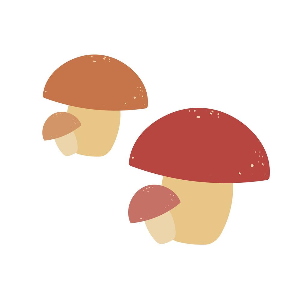 Autumn vector mushrooms