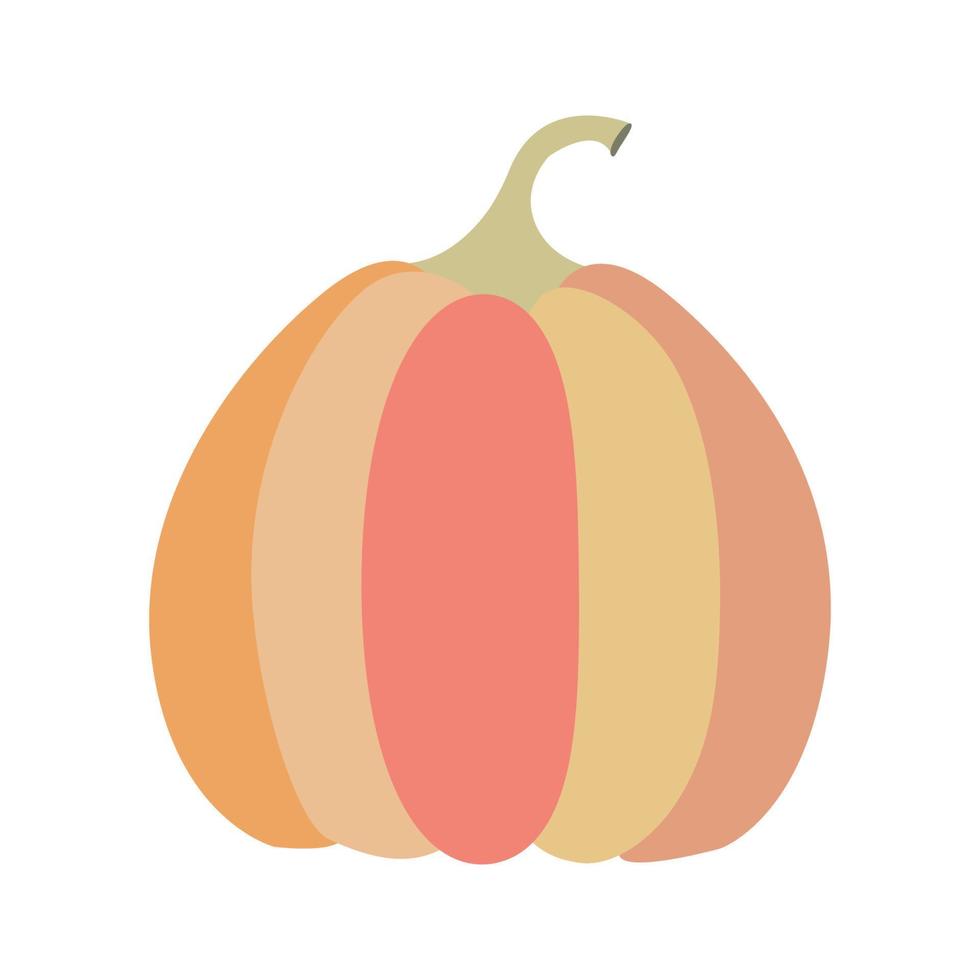 Pink orange pumpkin vector