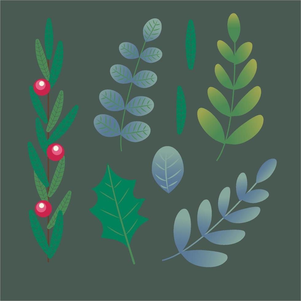 Christmas branches and leaves. Christmas festival, New year invitations, or greeting cards. vector