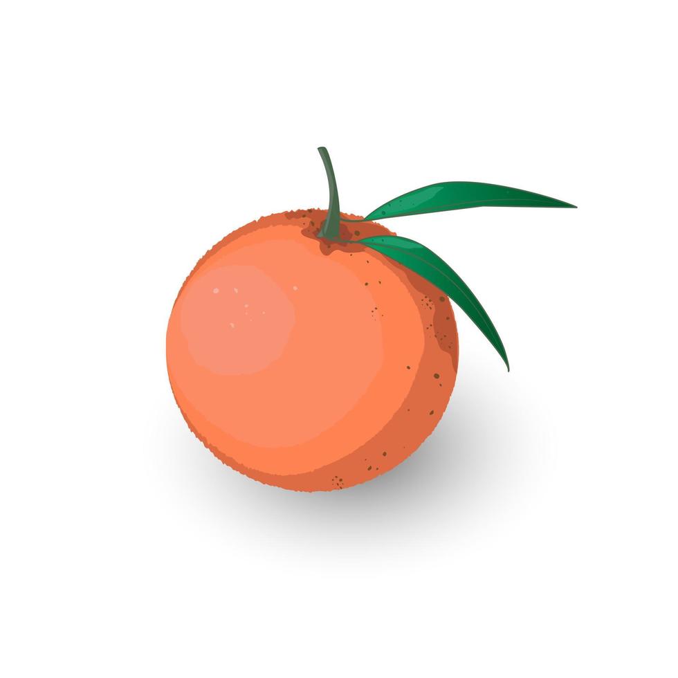 mandarina vectorial con hoja. icono de fruta naranja en estilo de dibujos animados aislado sobre fondo blanco.diseño para impresión en tela, papel de regalo, papel pintado, embalaje. ilustración vectorial vector