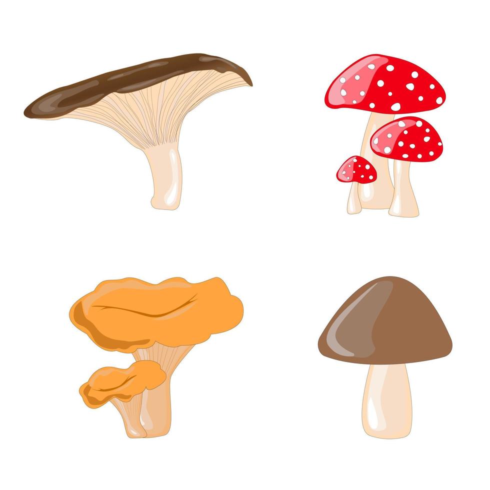 Cartoon mushrooms.Set of vector illustrations in flat design isolated on white. Design for print on fabric, wrapping paper, packing, wallpaper.Vector illustration