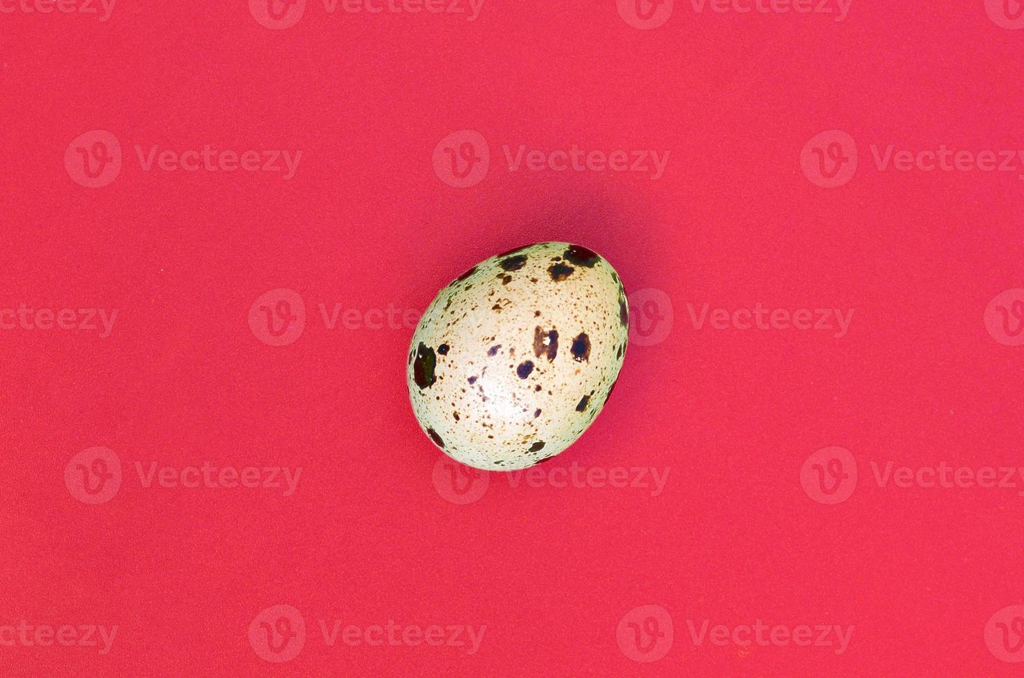 One quail egg on a light red surface, top view, empty place for text photo