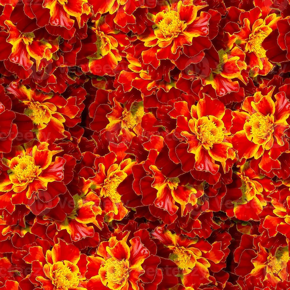 Seamless patterns with bright flowers for beautiful background. photo