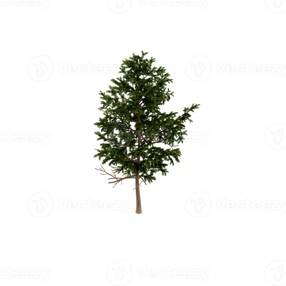 Isometric Tree 3D render png