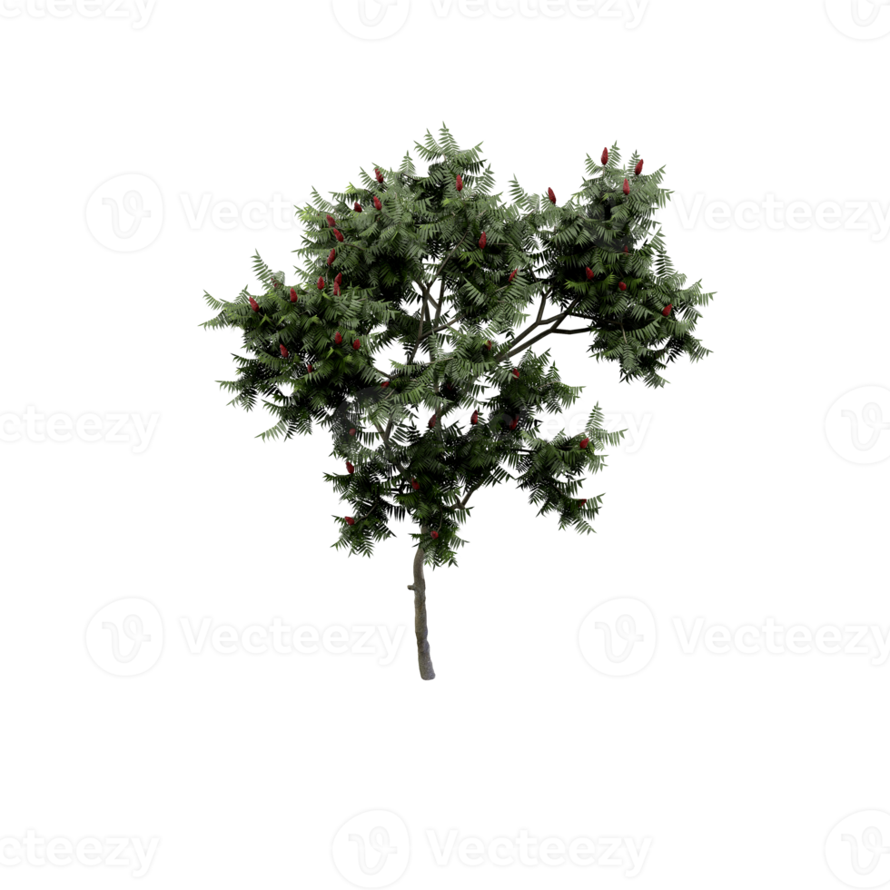 Isometric Tree 3D render png