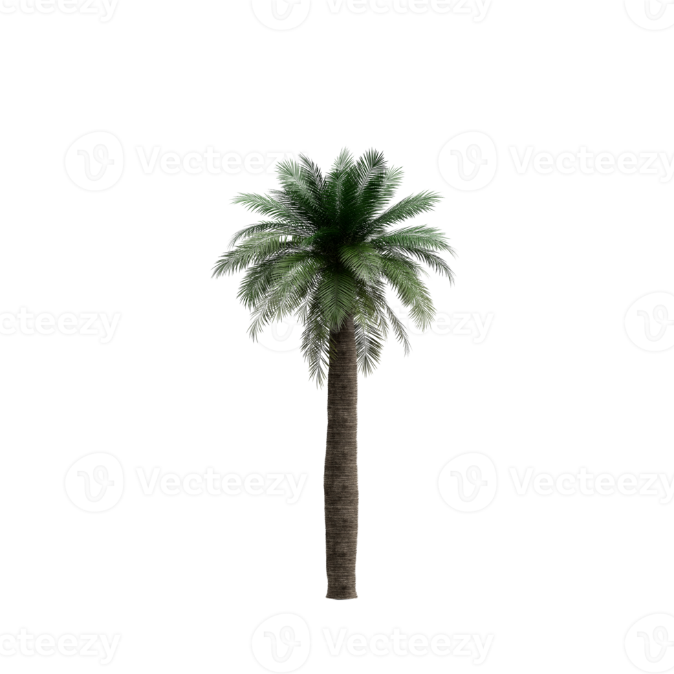 isometrischer baum 3d rendern png