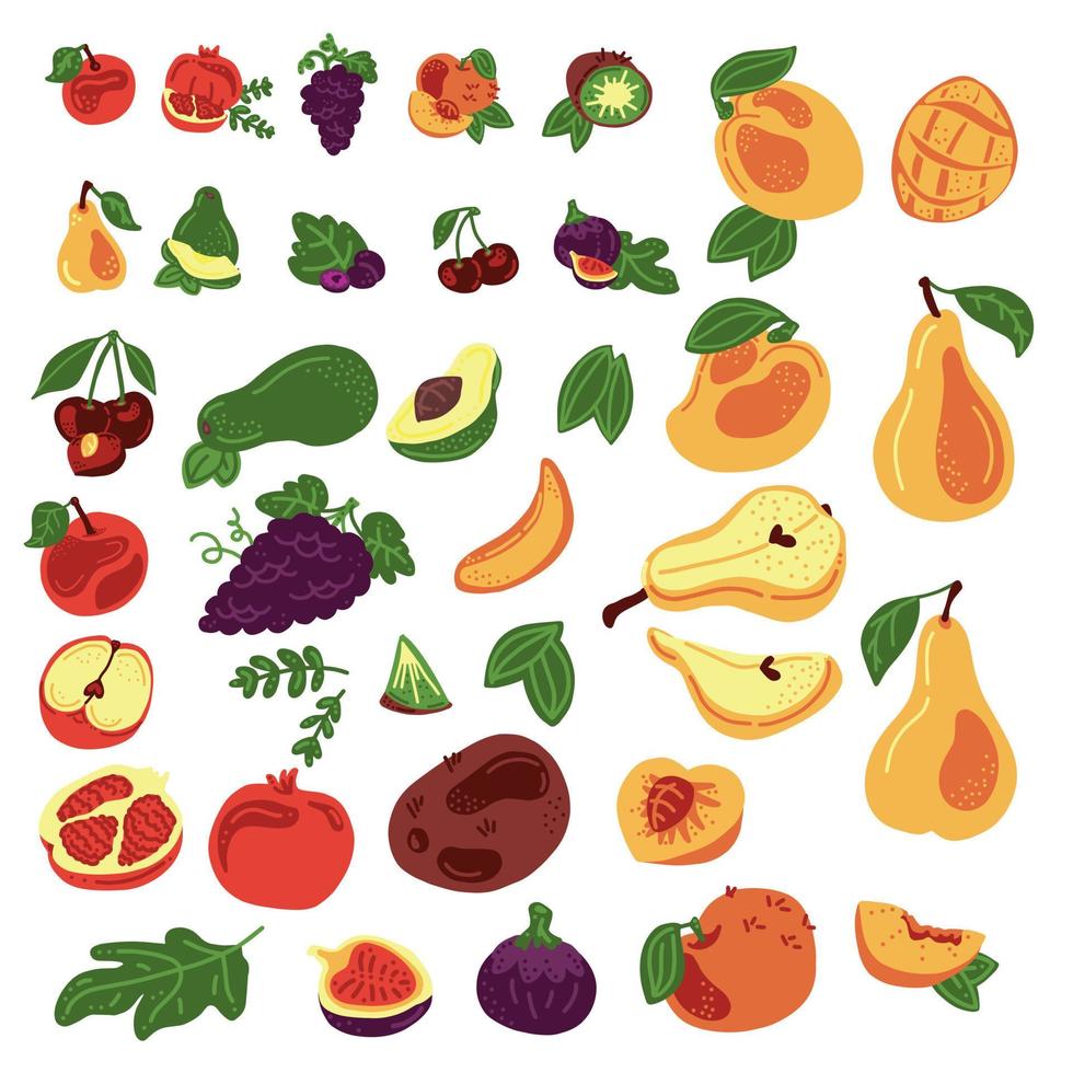 Big set of 10 fruit. 37 elements. Apple, pomegranate fruit, grape, peach, pear, kiwi, avocado, mango, fig, cherry. Vector hand draw cartoon illustration.