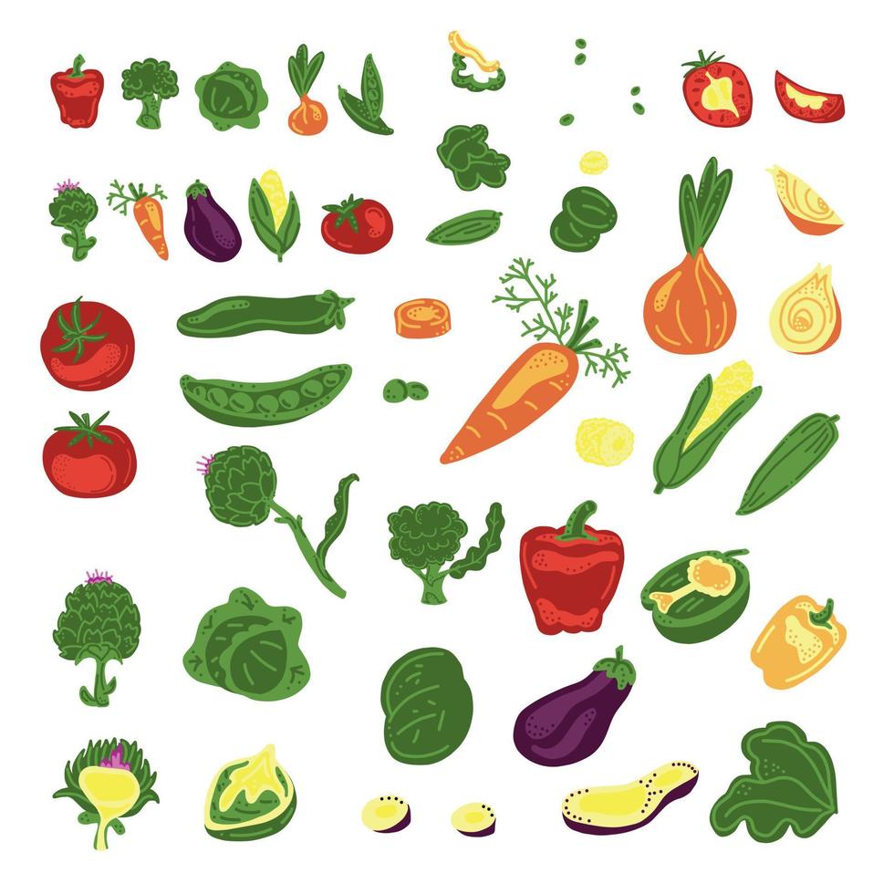 Big set of 10 vegetables. 46 elements. Carrot, artichoke, broccoli, onion, eggplant, tomato, bell pepper, cabbage, peas, corn. Vector hand draw cartoon illustration.
