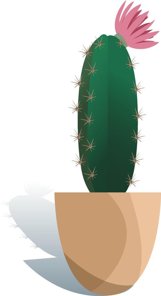 Potted houseplant echinopsis vector illustration. Succulent in flat modern style. Isolated on white background