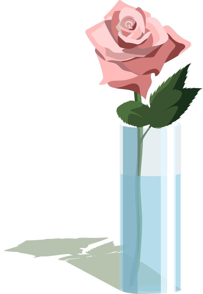 Single pink rose in cylindrical vase in light flat style, isolated on white background vector